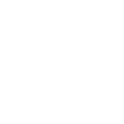 Dominos white logo