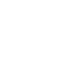 charlesstanley-logo-white-256:256