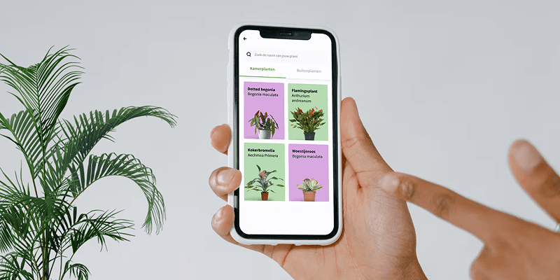 Retail app development Intratuin - in body image