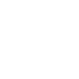 Lexus logo