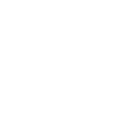 Chelsea-logo-256x256