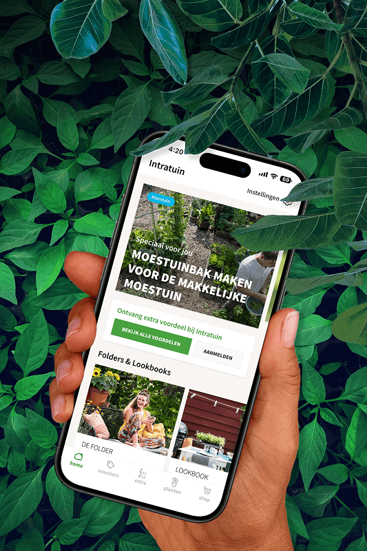 Intratuin afbeelding 3