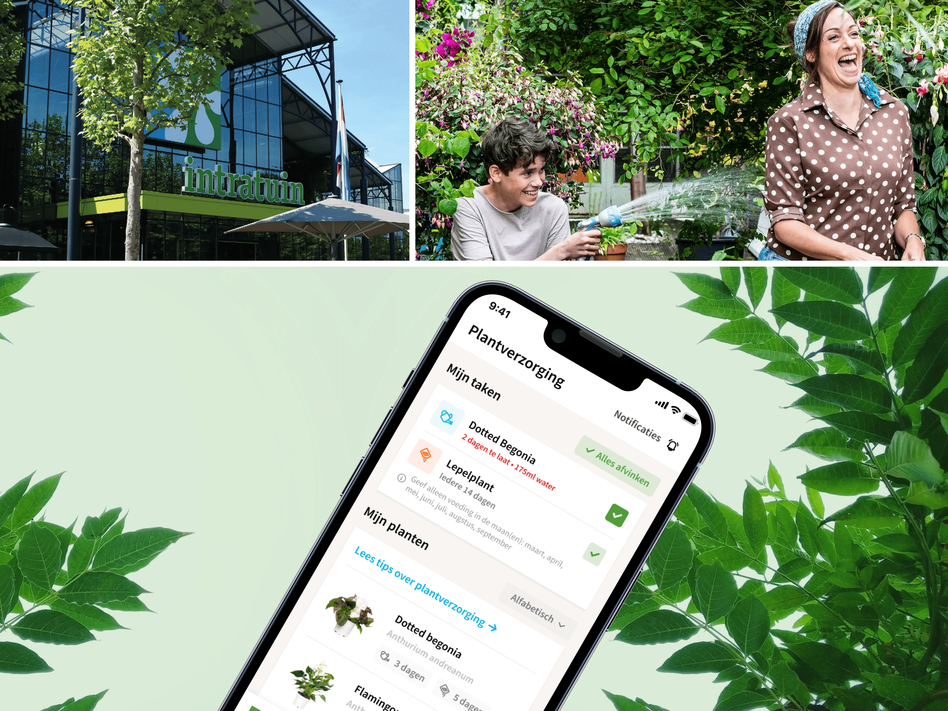 Intratuin case study afbeelding 1