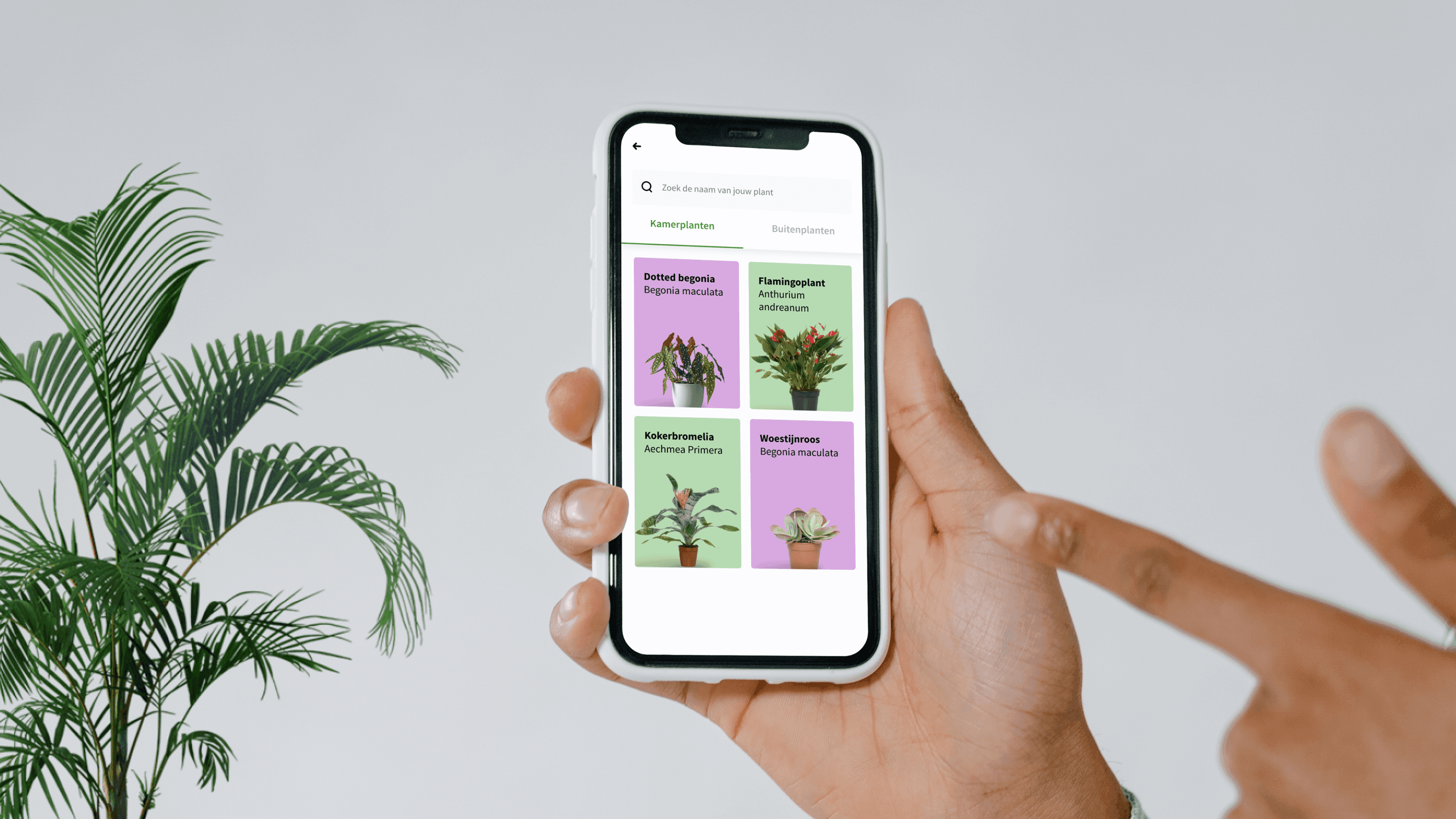 Intratuin case study afbeelding 2