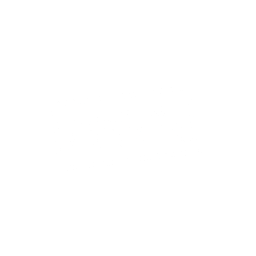 Mccain White logo