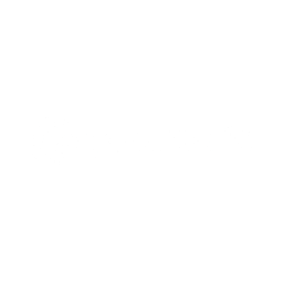 Yoursafe logo