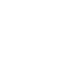 Yoursafe logo