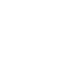 The Drum white logo
