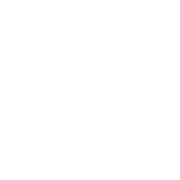 logo-client-lexus-white-256x256