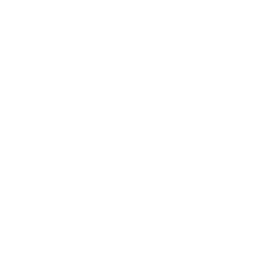 Chelsea football club logo