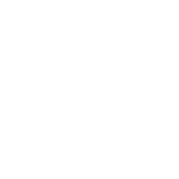 Street News logo