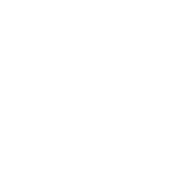 Dunnes Stores Logo