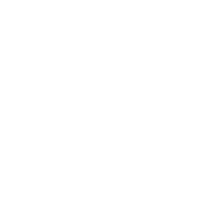 logo-movestreets-white