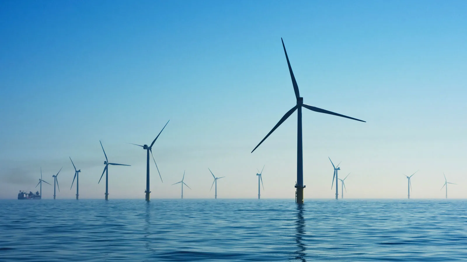 A marine wind farm against a blue sea and sky.